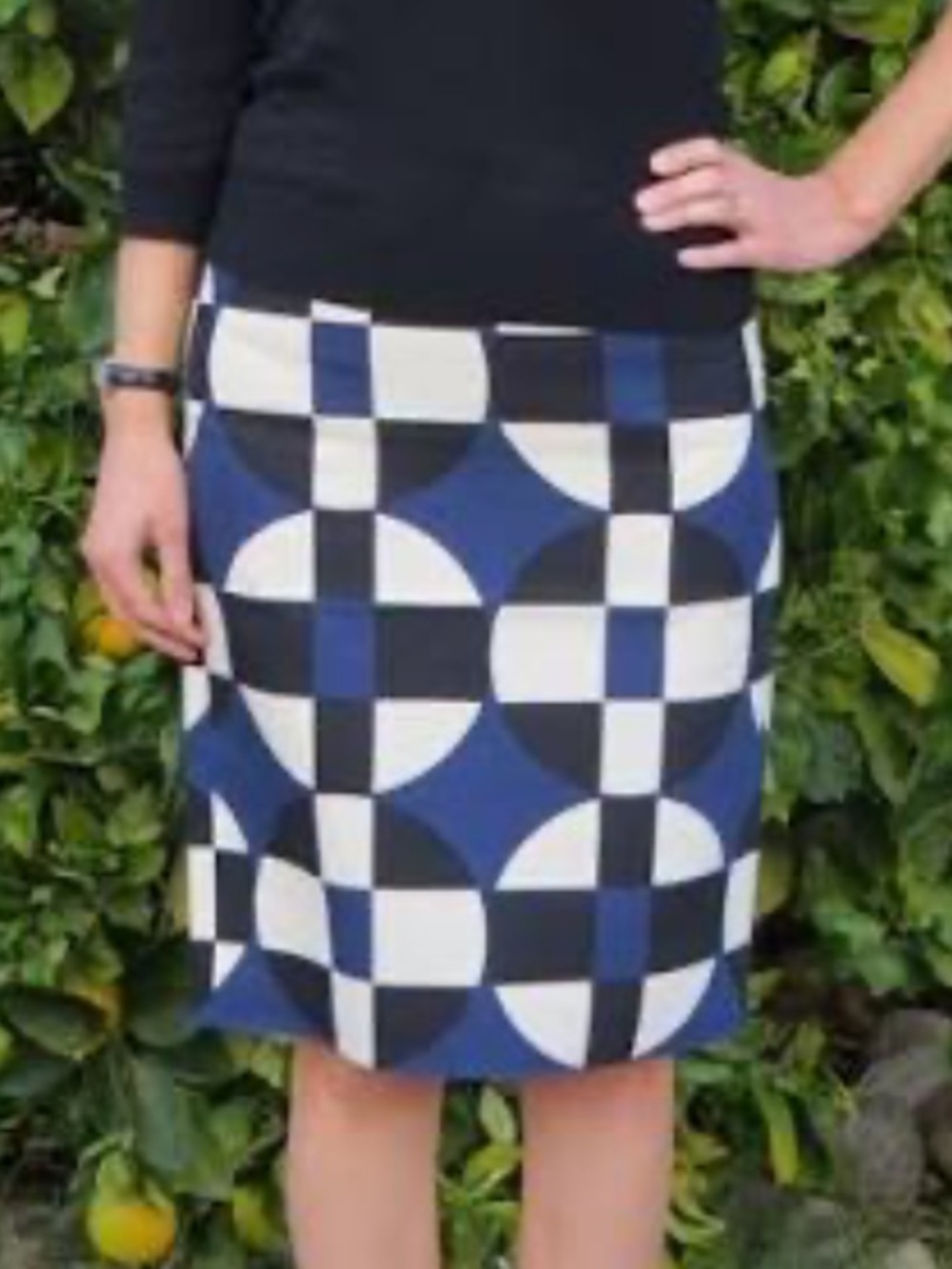 J Crew | Black, Blue, Cream The Pencil Skirt (8)